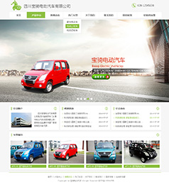 <b>四川宝骑电动车有限公司</b>