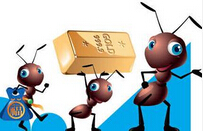 <b>阿里网商银行预计5月份开张</b>