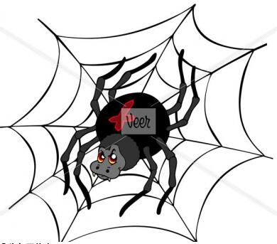 spider蜘蛛