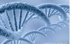 <b>成都生物药剂网页制作建设</b>