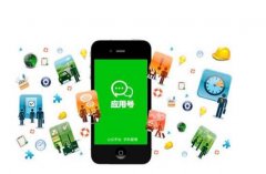<b>成都小程序开发龙兵:未来2年内，小程序将取代</b>