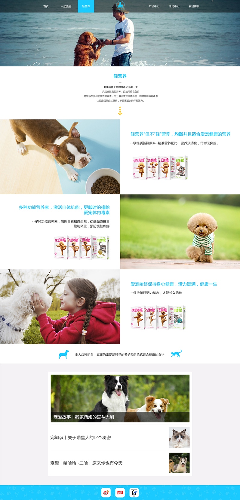 宠物食品公司网站设计